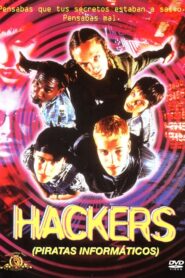 Hackers, piratas informáticos