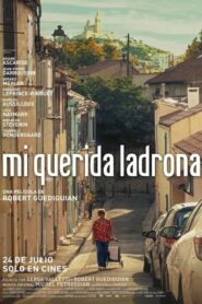 Mi querida ladrona